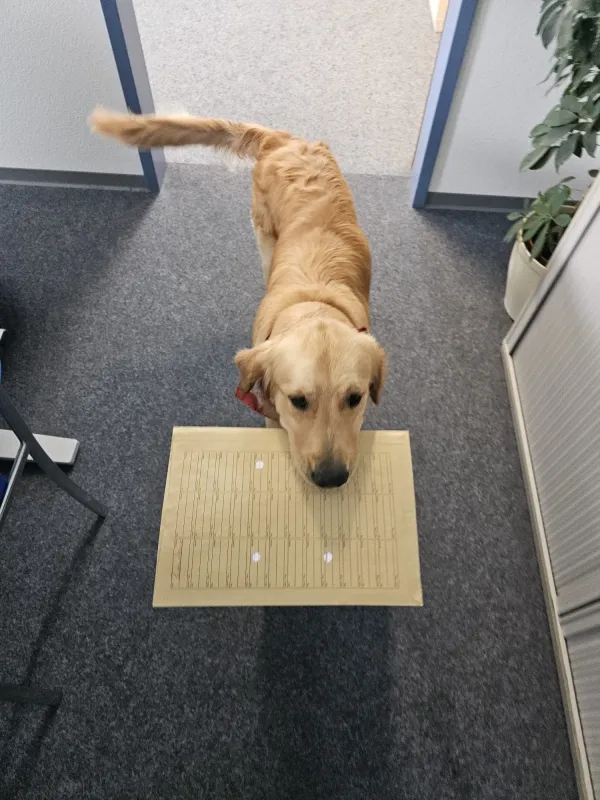 Deine Vorteile bei uns